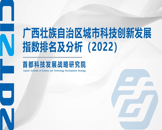 死骚货上课就扣逼【成果发布】广西壮族自治区城市科技创新发展指数排名及分析（2022）